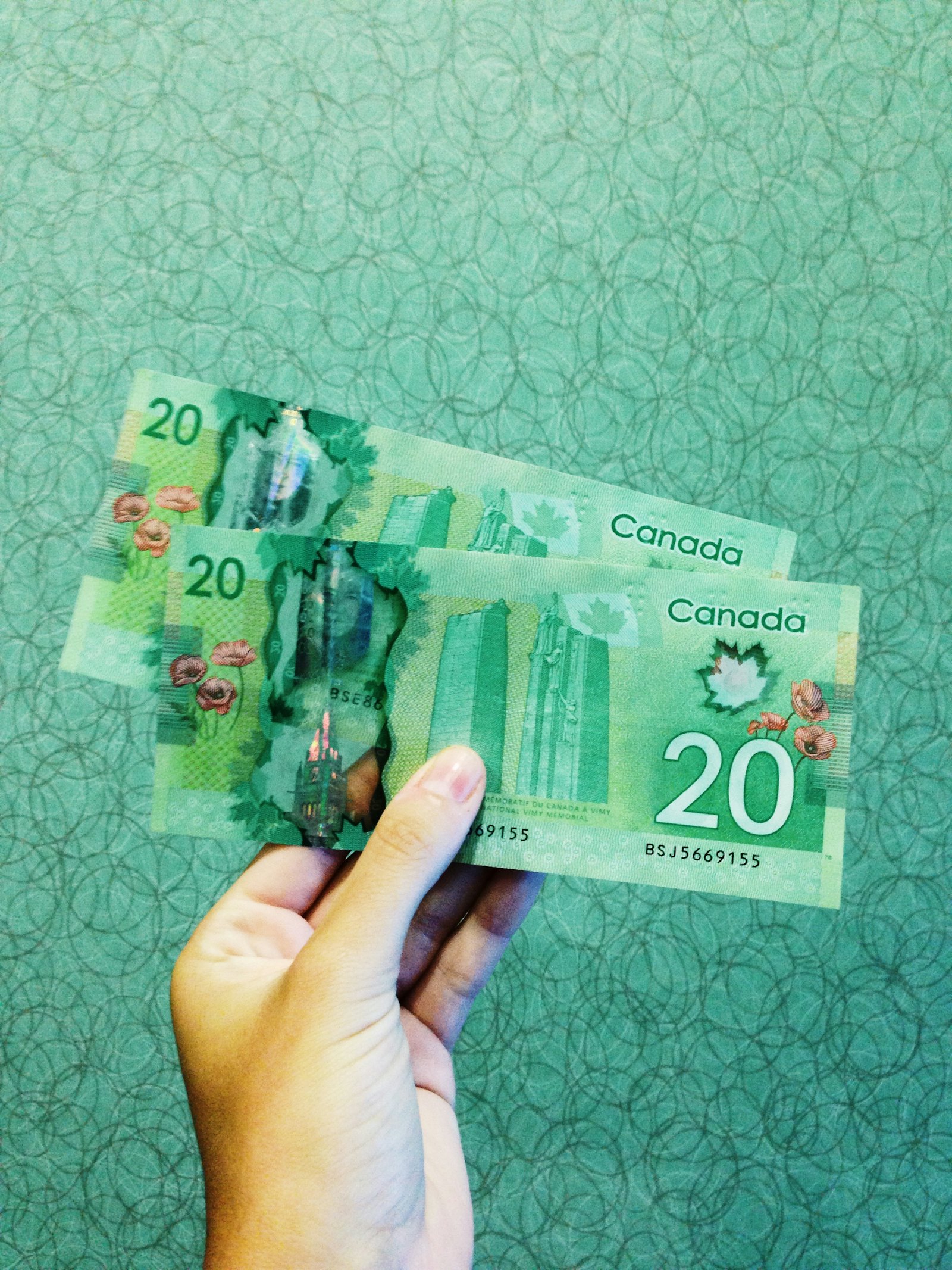2026 加拿大 TFSA 与 RRSP 全攻略：新移民必看的政府优惠理财账户指南